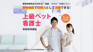 動物看護の資格とは｜愛するペットと健やかに暮らせる社会をサポート